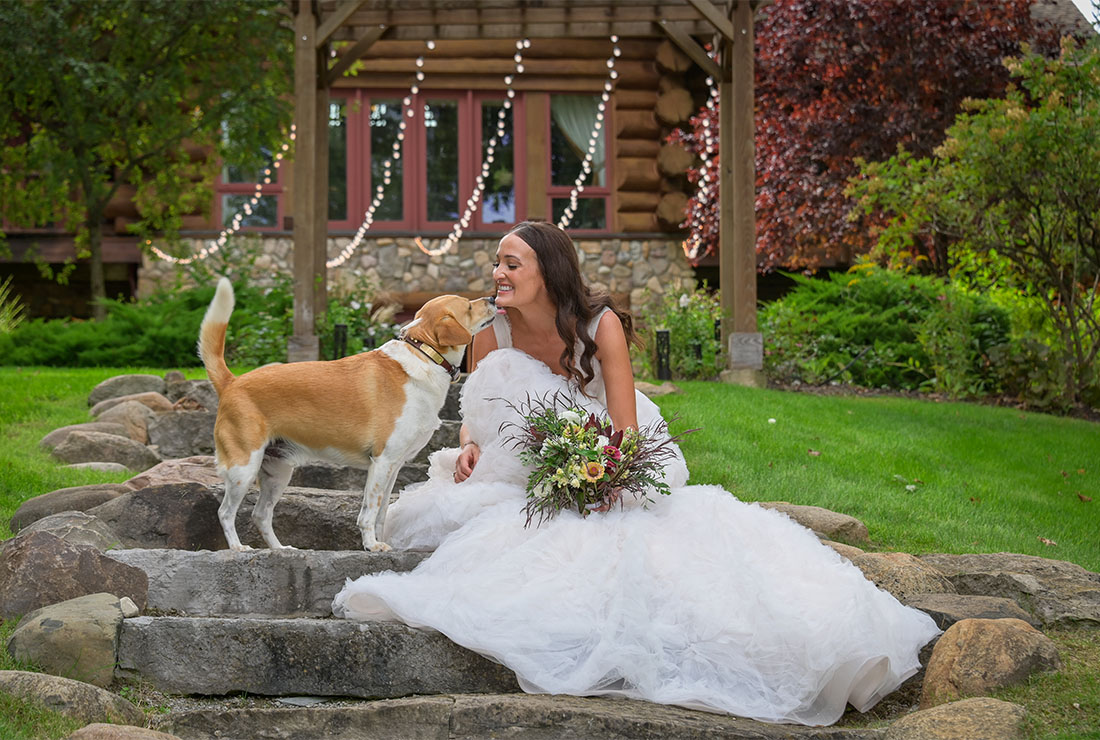 The bride gets a nice kiss from her dog after her wedding at Strawberry Lake Lodge in Pinkney, Michigan.