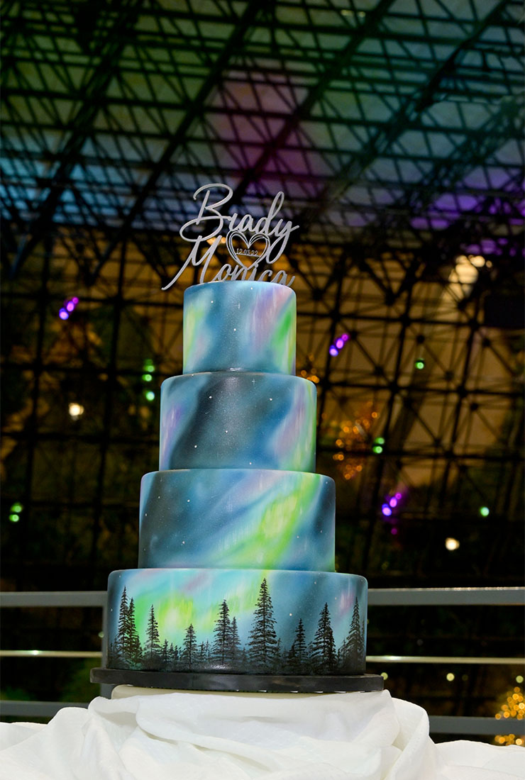 The bride and groom's amazing Northern Lights themed cake in the giant greenhouse at the Westin Southfield in Southfield, Michigan.