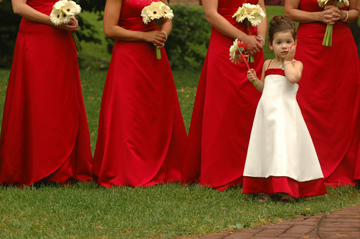 Michigan wedding photographer gets a rave from Clarkston MI bride about her wedding photos.
