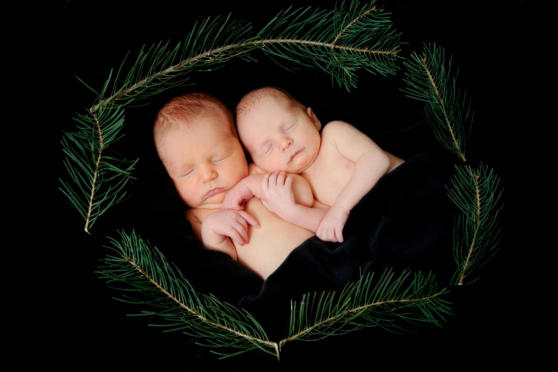 Best Detroit newborn photographer's christmas baby twins sleeping in metro Detroit, Michigan.