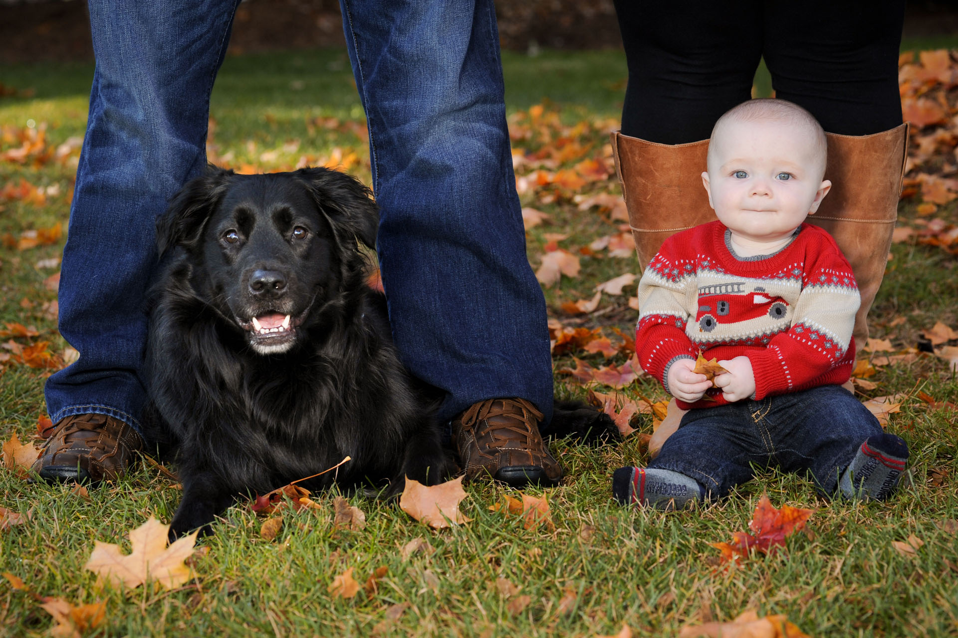 Best Detroit family photographer photographs families and their pets in metro Detroit, Michigan for family photos.