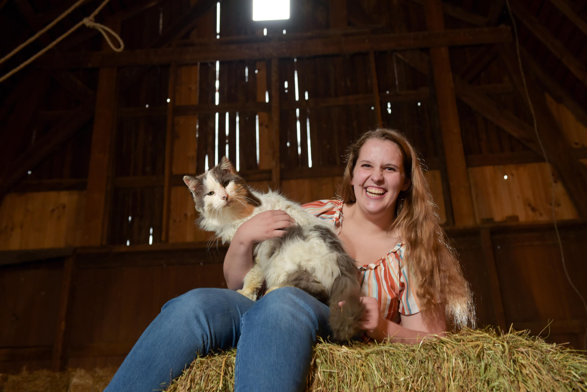 A senior who love animals wanted a variety of images for her Troy, Michigan senior photos taken at a farm near Troy, Michigan .